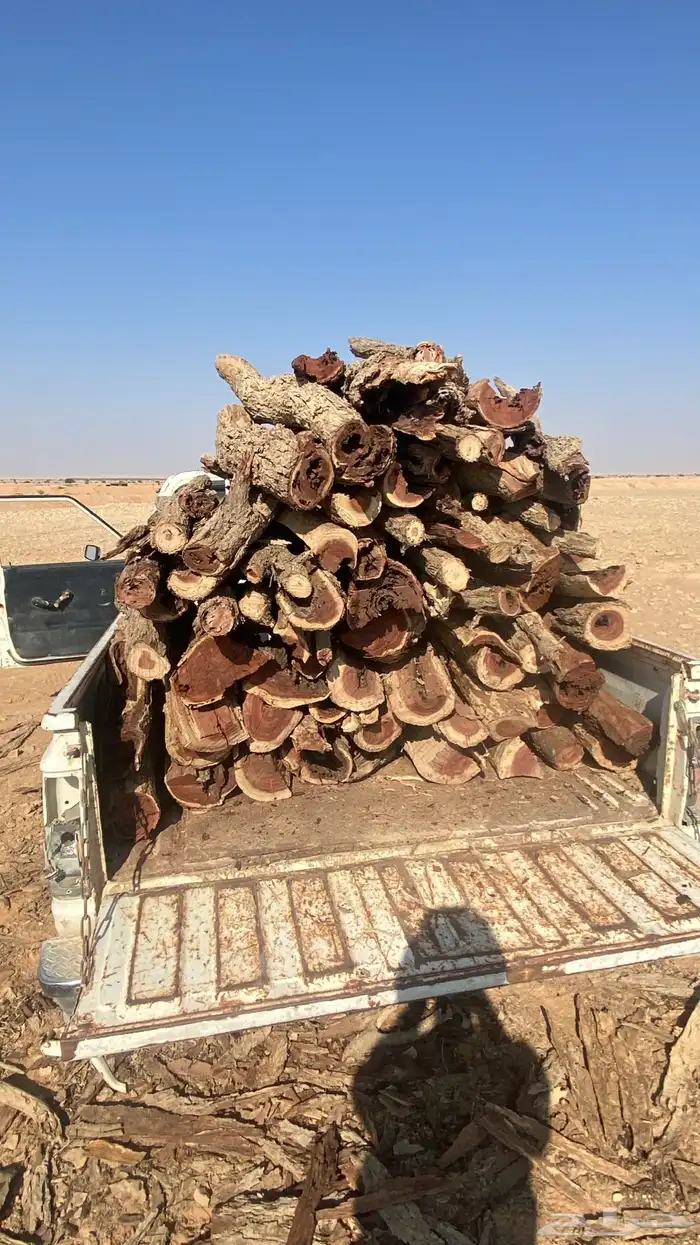 حطب مستورد 1