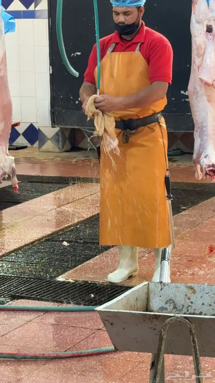 ذبايح سواكن وحريات ثلاجه 7