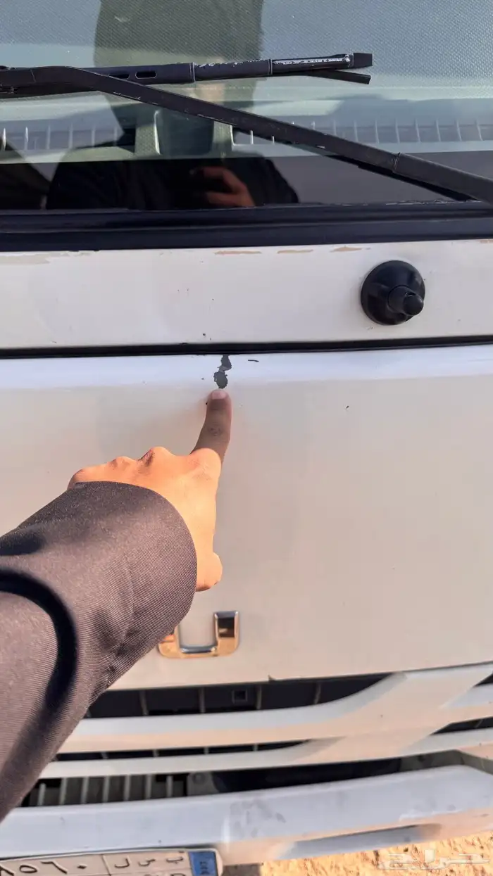 دينا قلاب ايسوزو 14