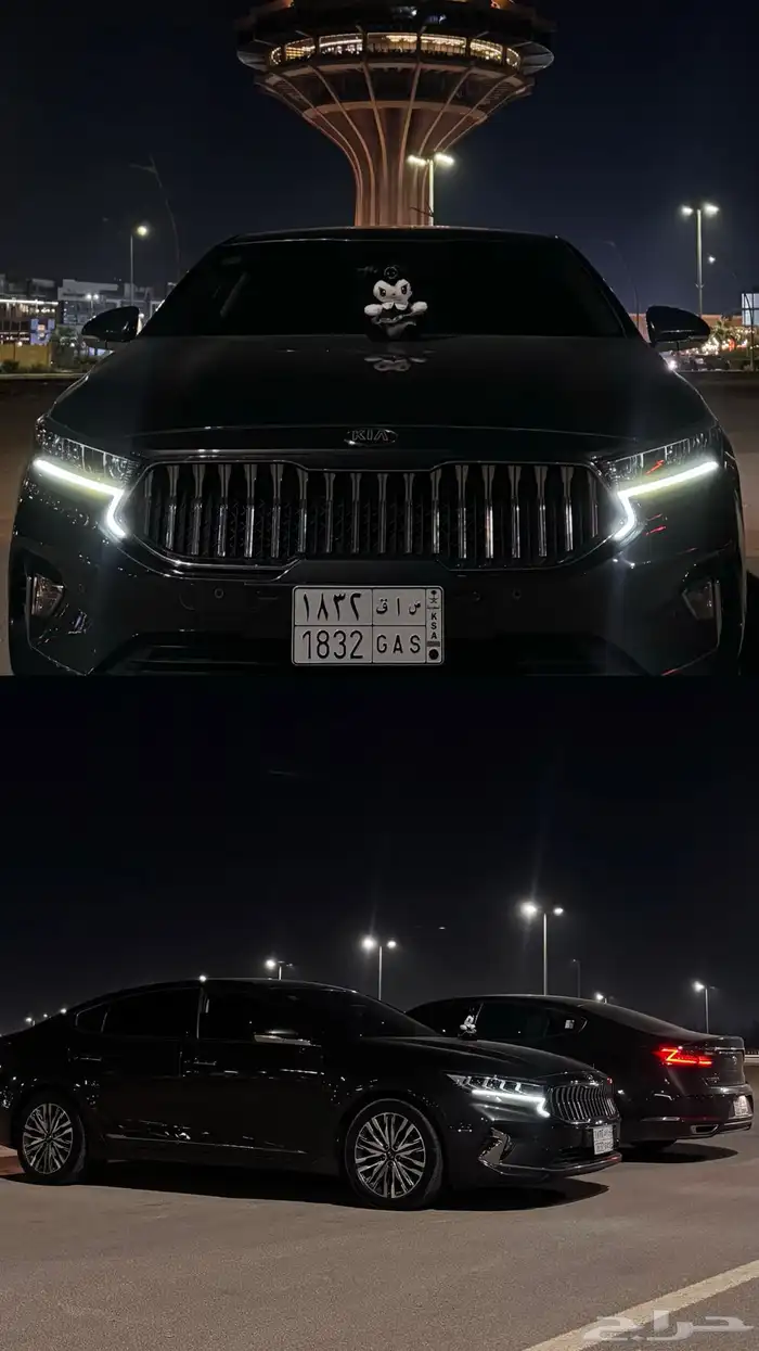 كادينزا وارد كوريا6سلندر 2