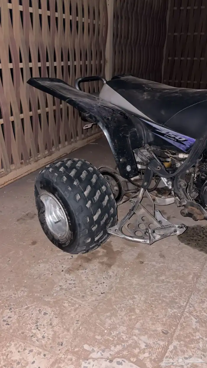 دباب بانشي 0