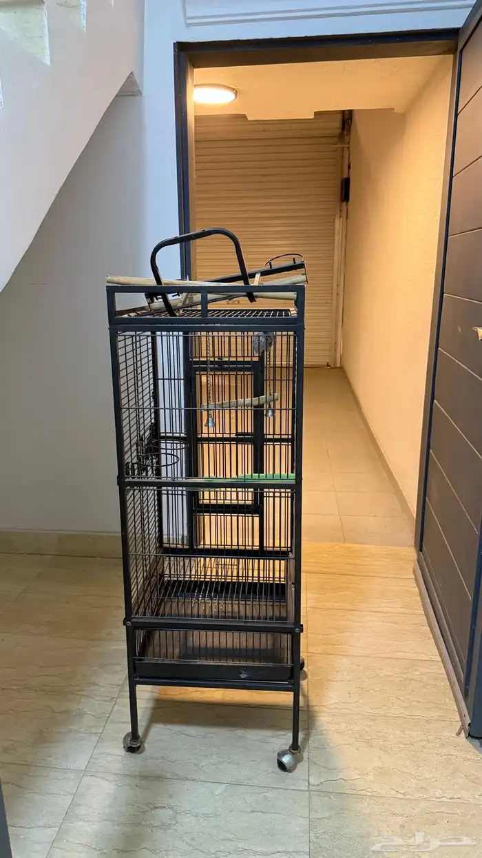 قفص طيور ( بغبغاء) للبيع 1