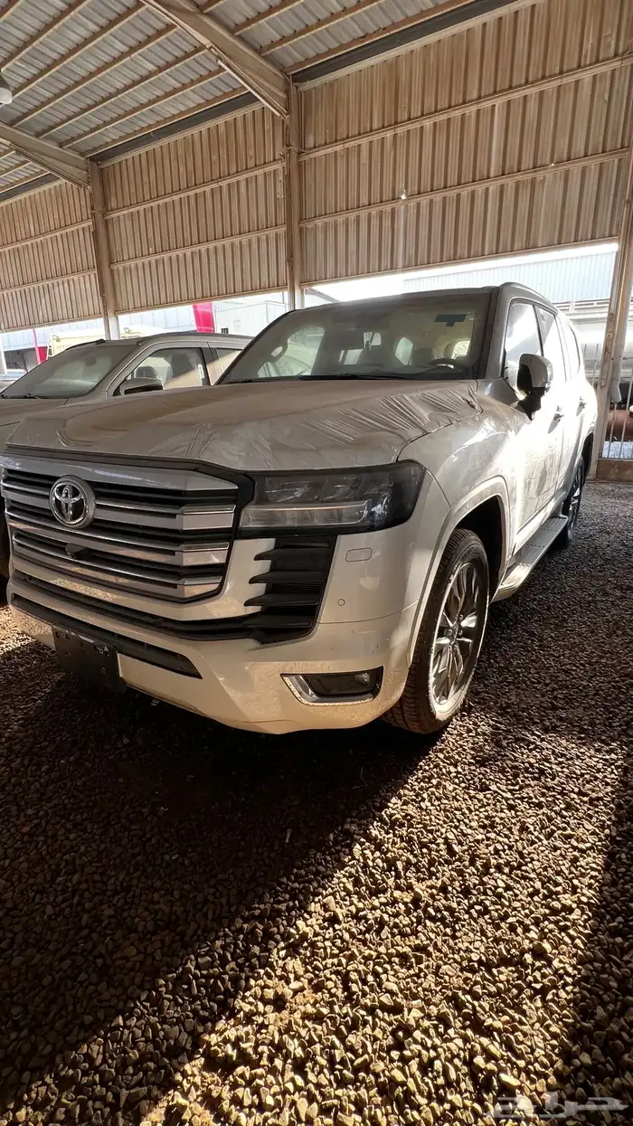 جكسار 2024 L4 اصفار 1