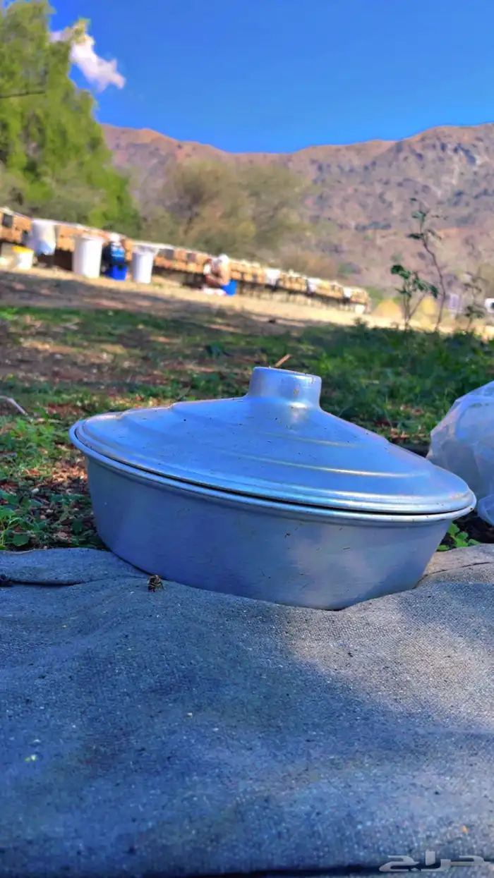 مناحل ابو عبدالله 1