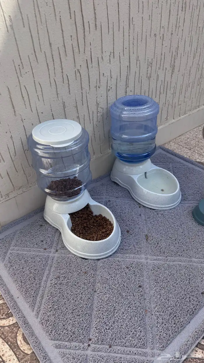 موزع طعام قطط جديد 1