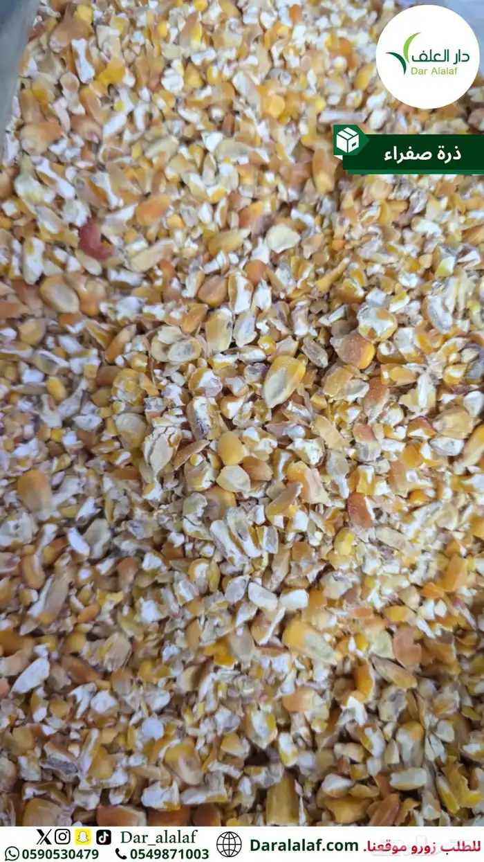 ذرة مجروشة شامل توصيل 4