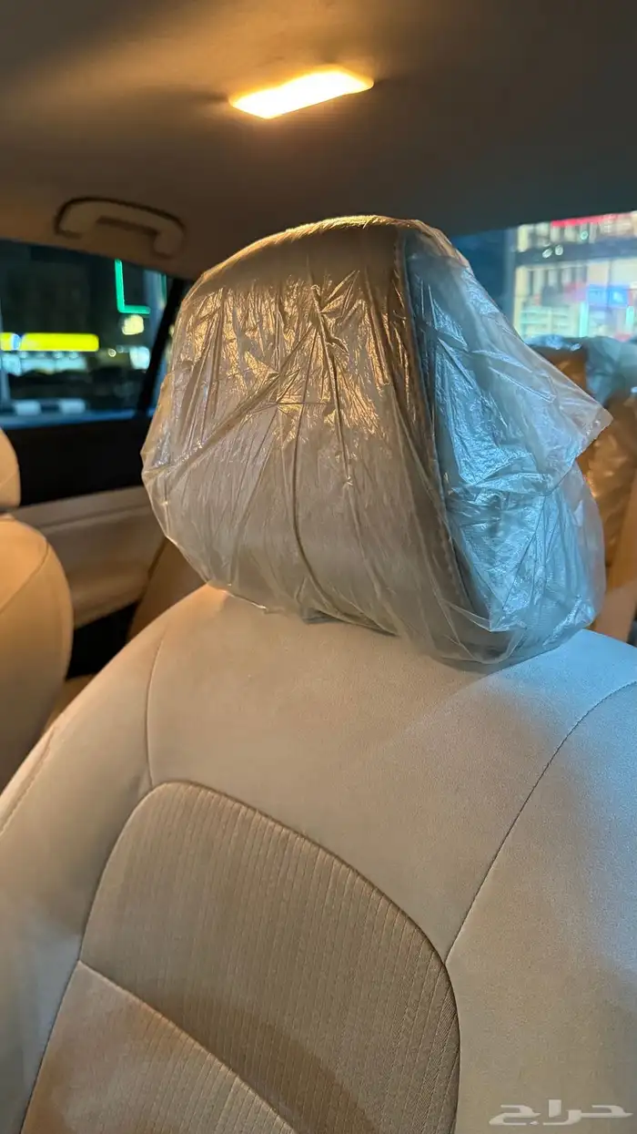 التيما 2022 17