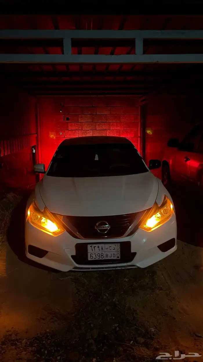 التيما 2017 29