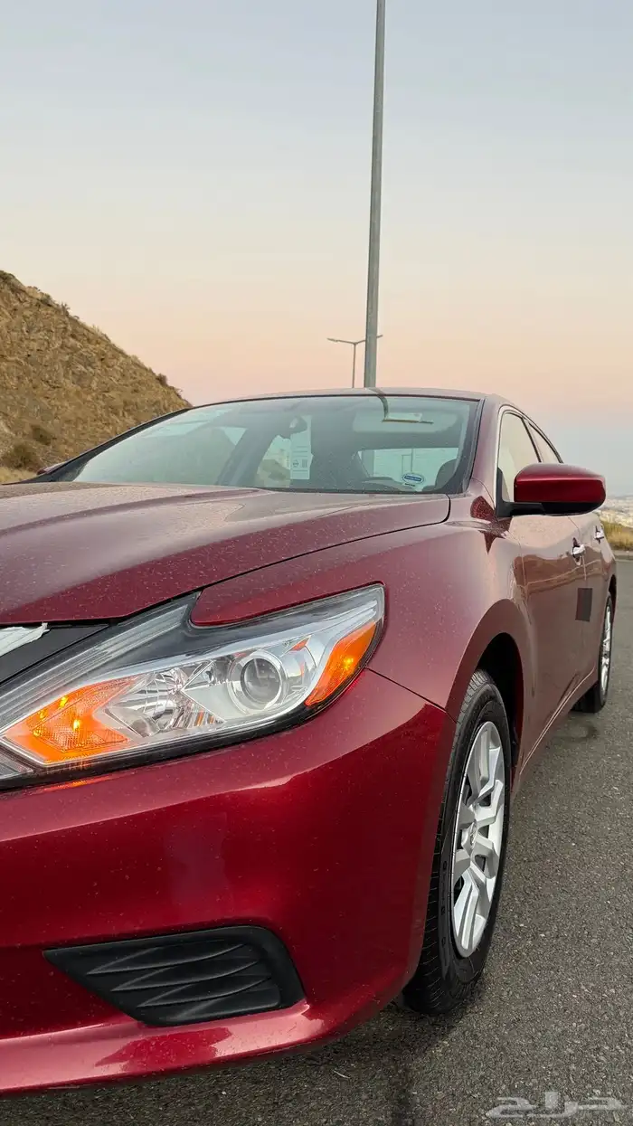 التيما 2017 مخزن 9