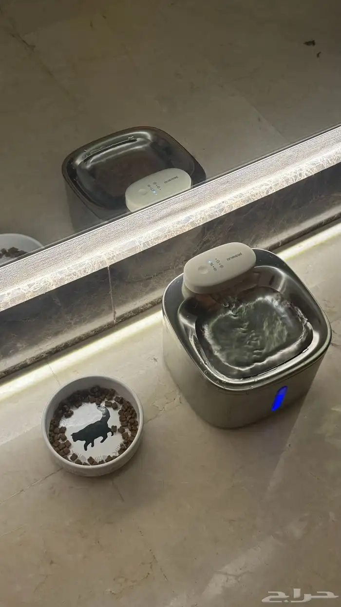 سكوتش فولد 7