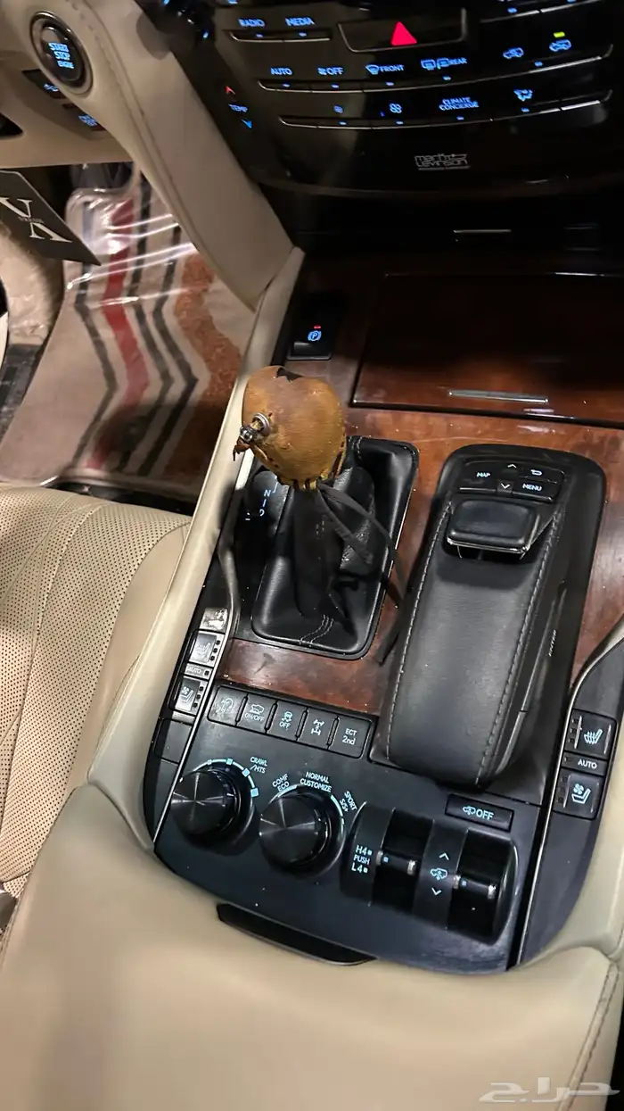 جيب لكزس 2021 بلاك اديشن بريمي 19