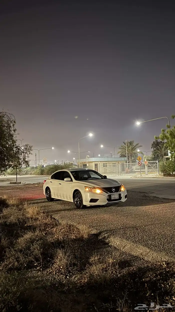 التيما 2017 23