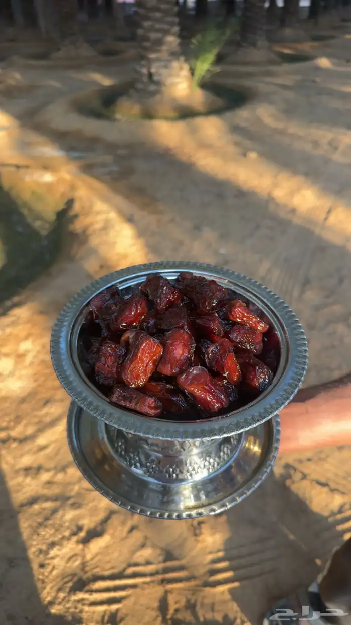 ضميد شقراء قصيباء فاخر 1