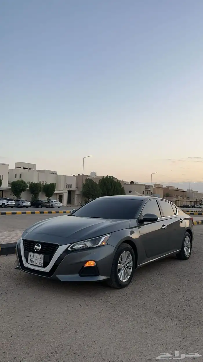 التيما 2021 ستاندر 41