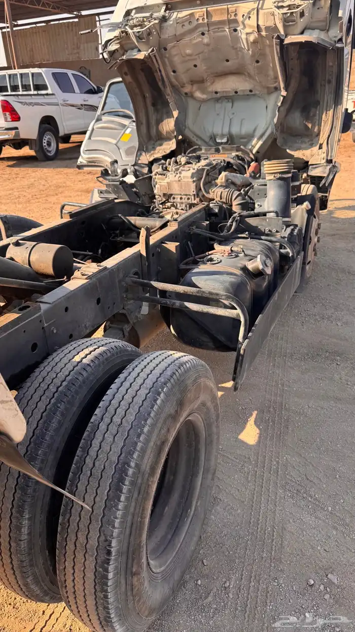 دينا قلاب ايسوزو 0