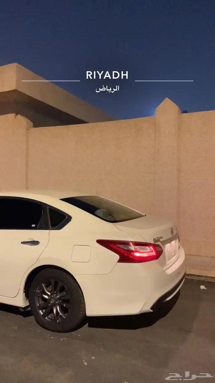 التيما 2017 11