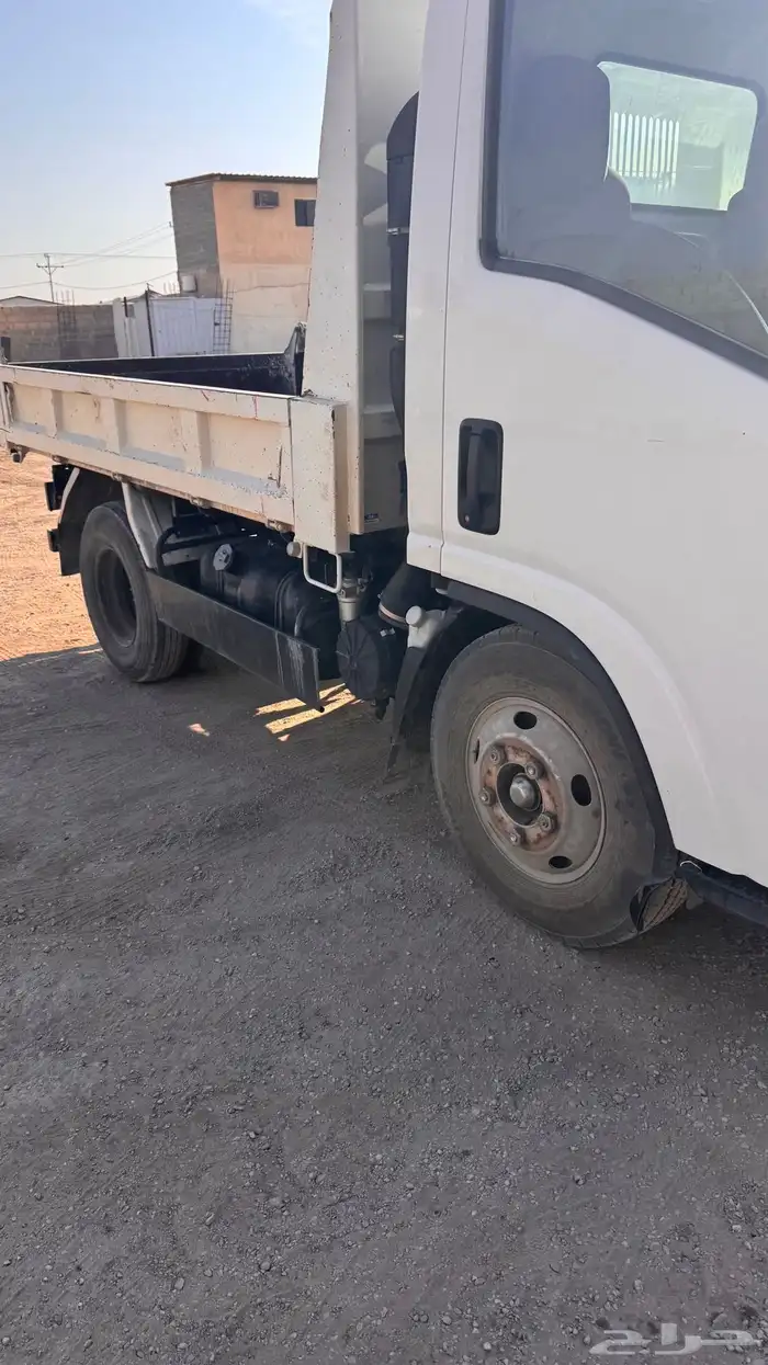 دينا قلاب ايسوزو 13