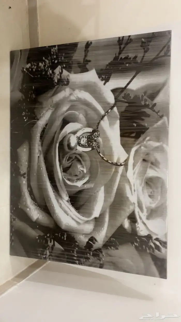 لوحة جدار -مكنسه كهربايئه - مرايه طويله - زينة ورد 0