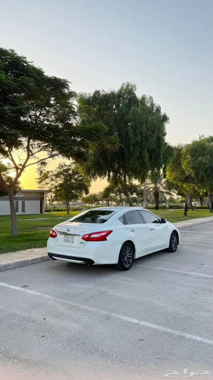 التيما 2017 15