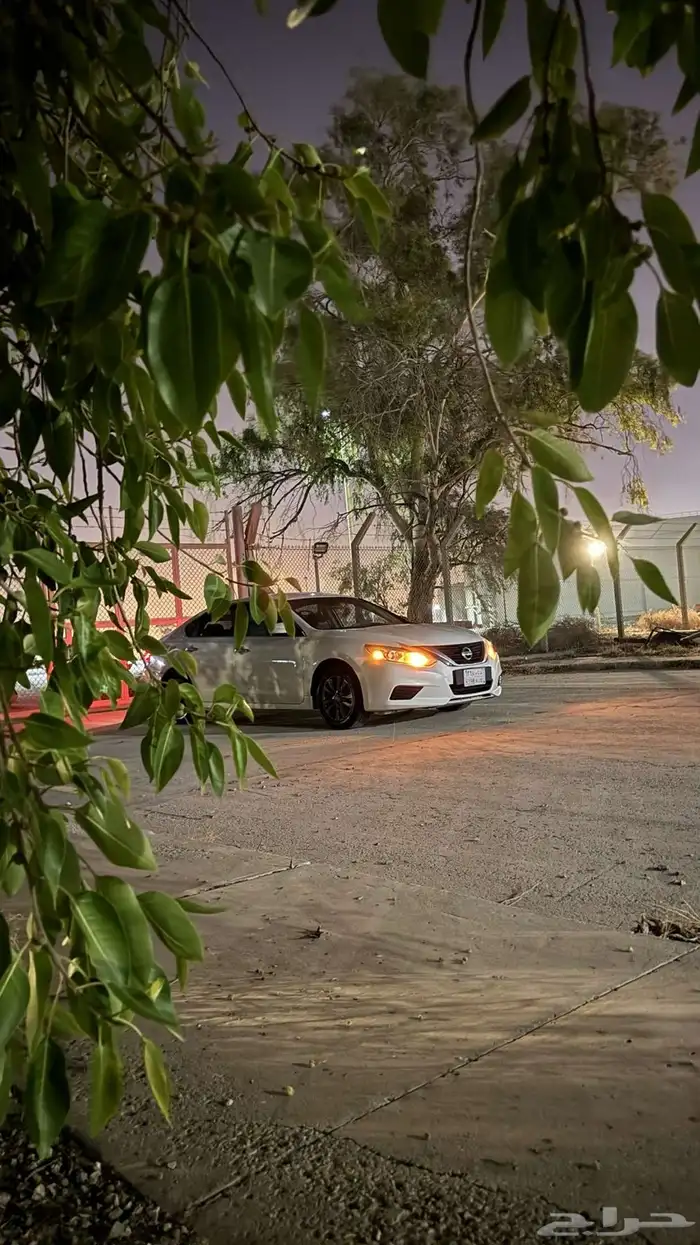 التيما 2017 27