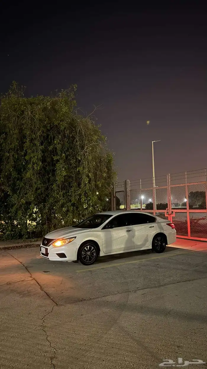 التيما 2017 19