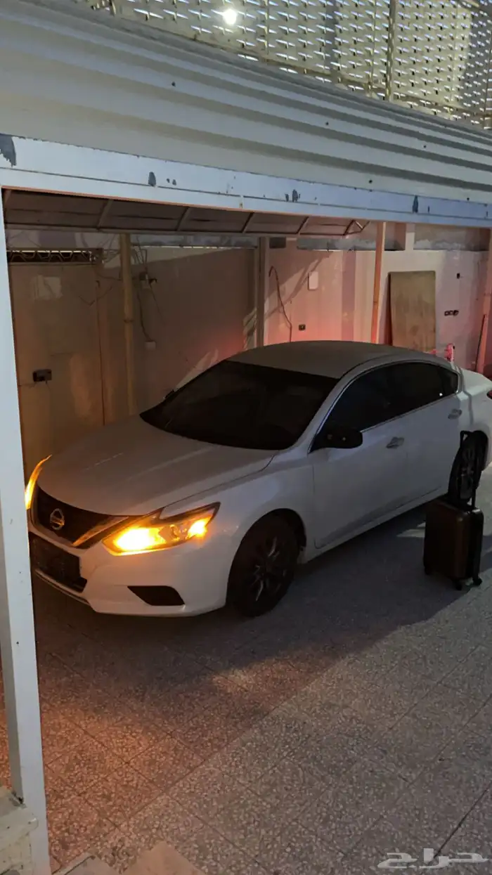 التيما 2017 34