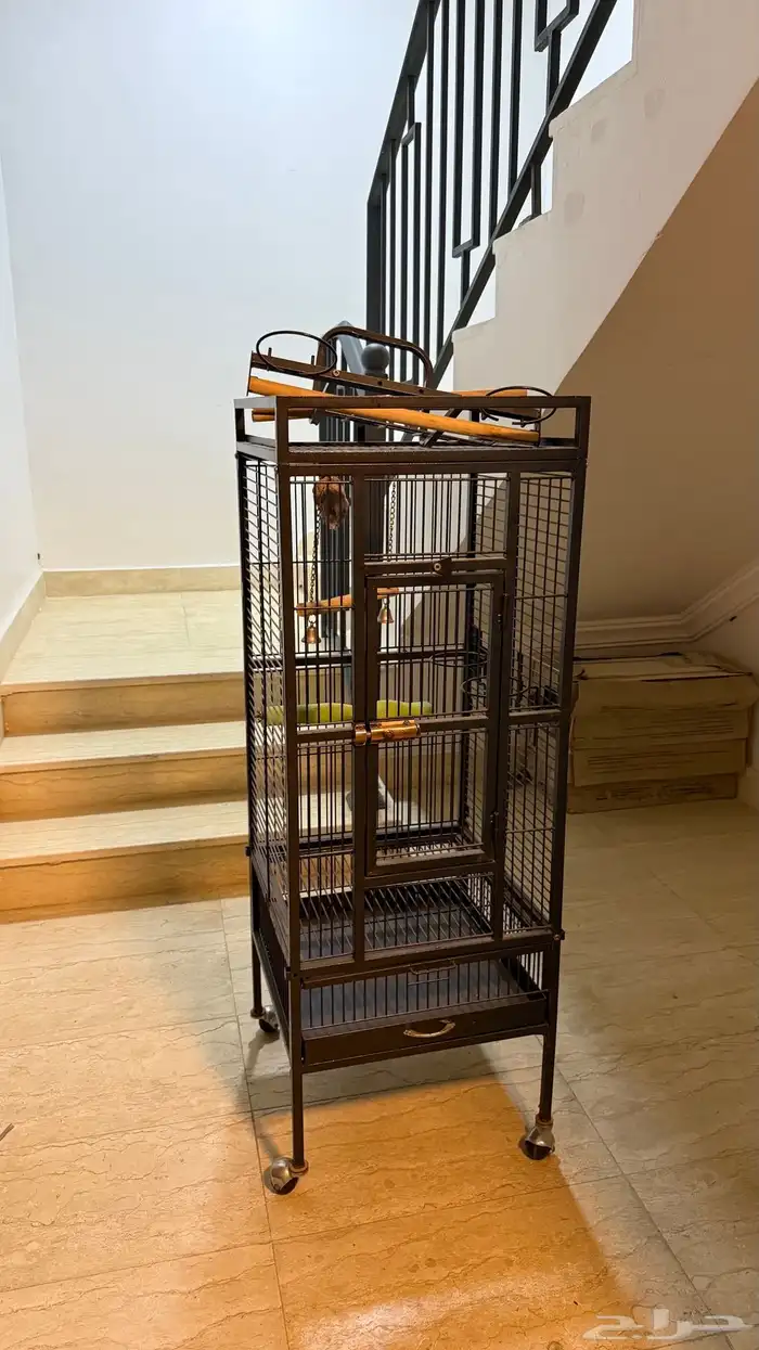 قفص طيور ( بغبغاء) للبيع 0