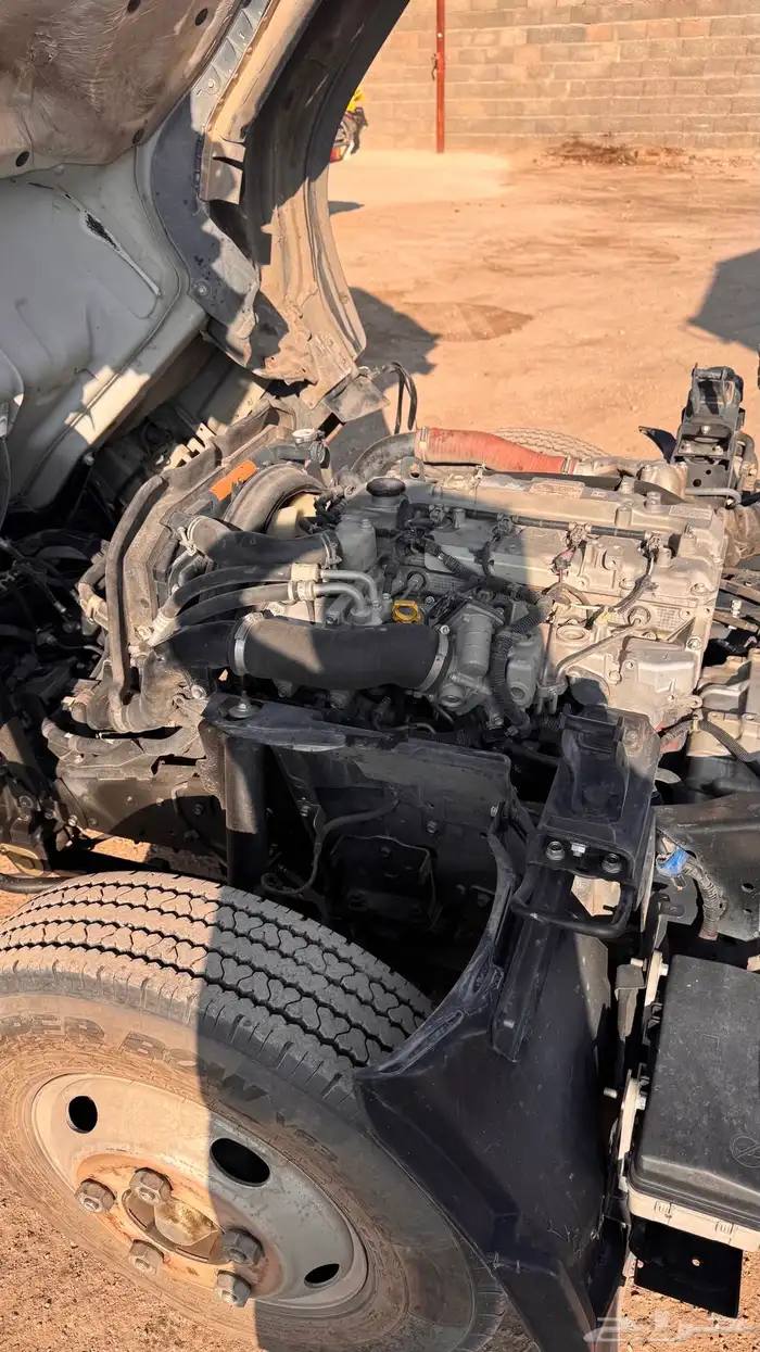 دينا قلاب ايسوزو 3