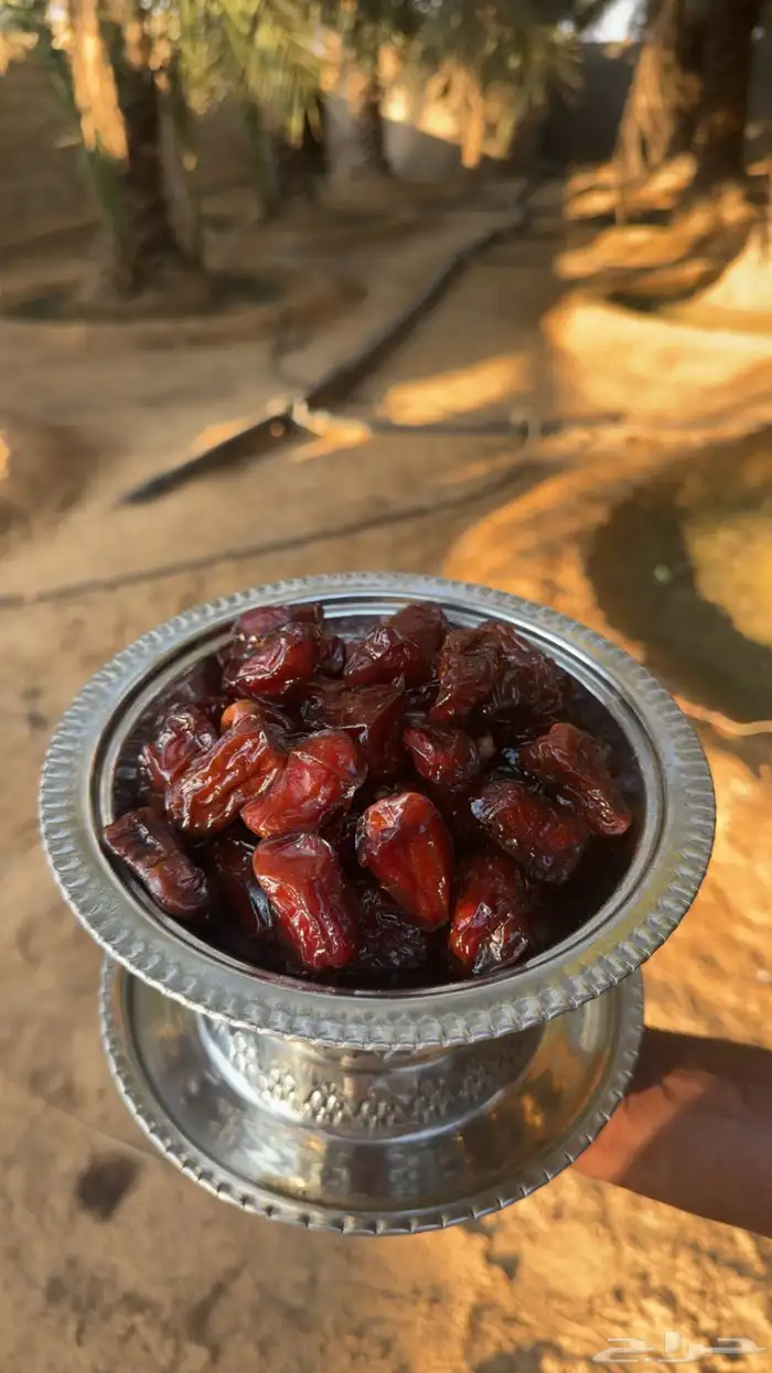 ضميد شقراء قصيباء فاخر 0