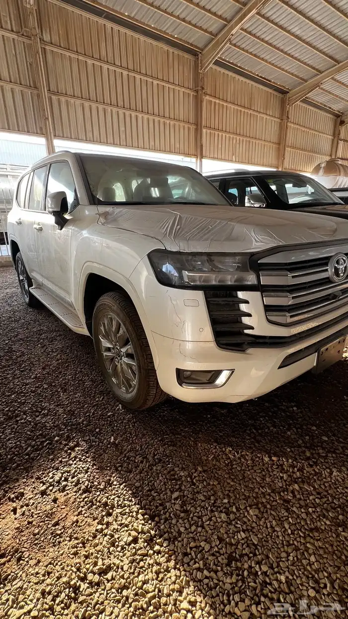 جكسار 2024 L4 اصفار 0