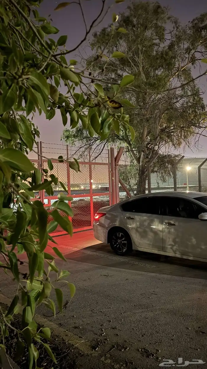 التيما 2017 24