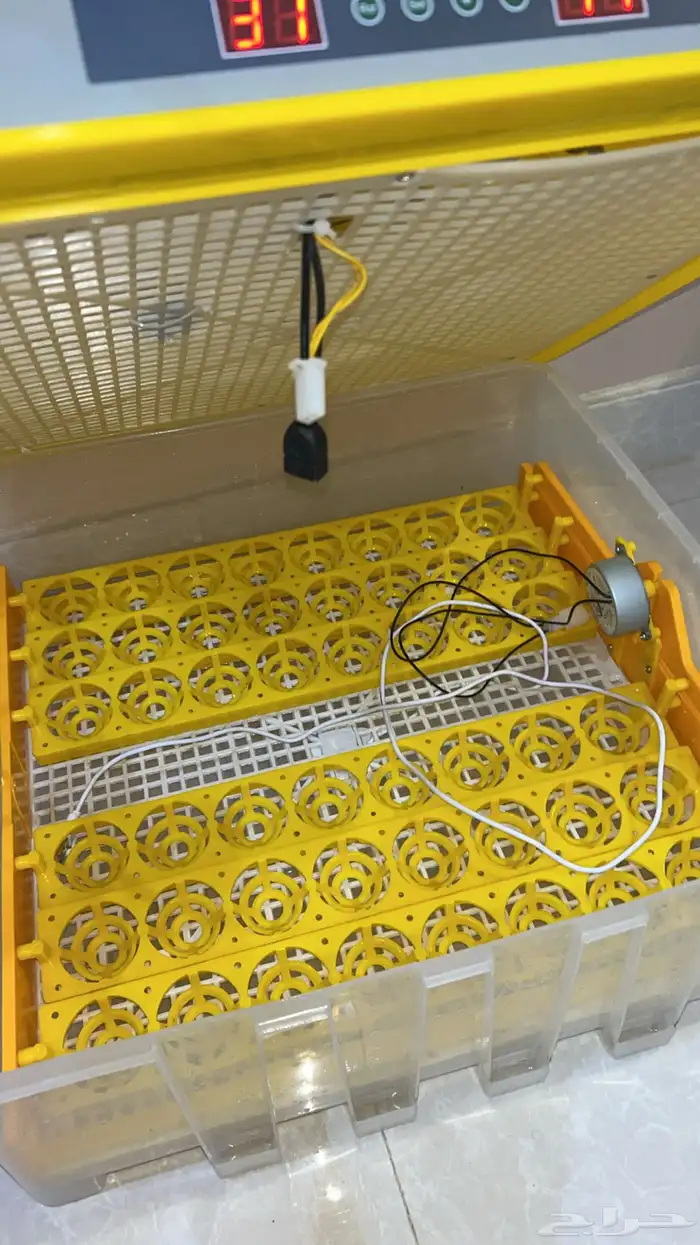 فقاسه تماتيك 1