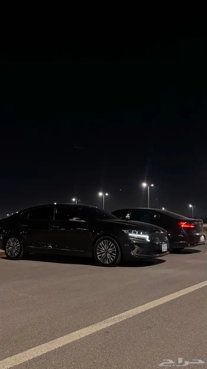 كادينزا وارد كوريا6سلندر 7