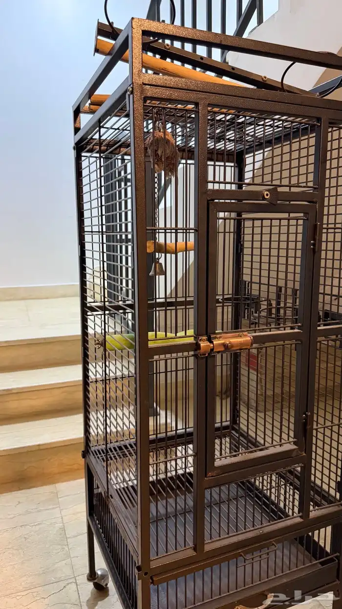 قفص طيور ( بغبغاء) للبيع 2