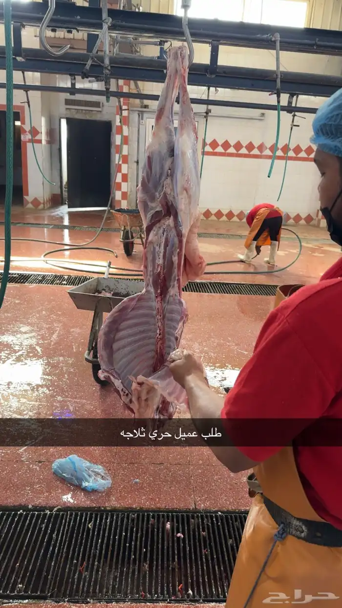 ذبايح سواكن وحريات ثلاجه 8