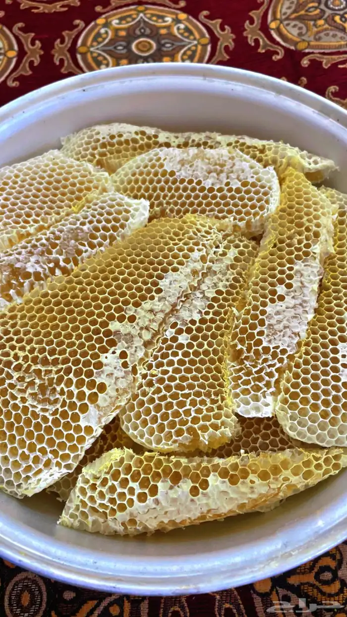 مناحل ابو عبدالله 0