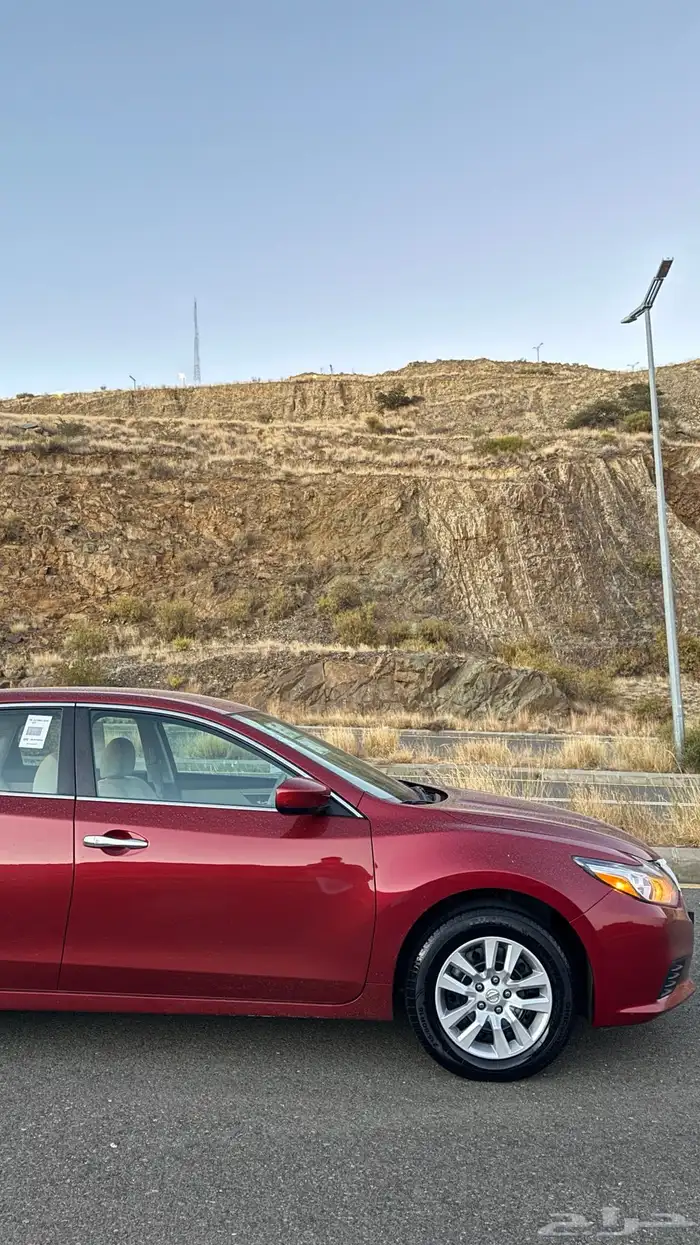 التيما 2017 مخزن 18