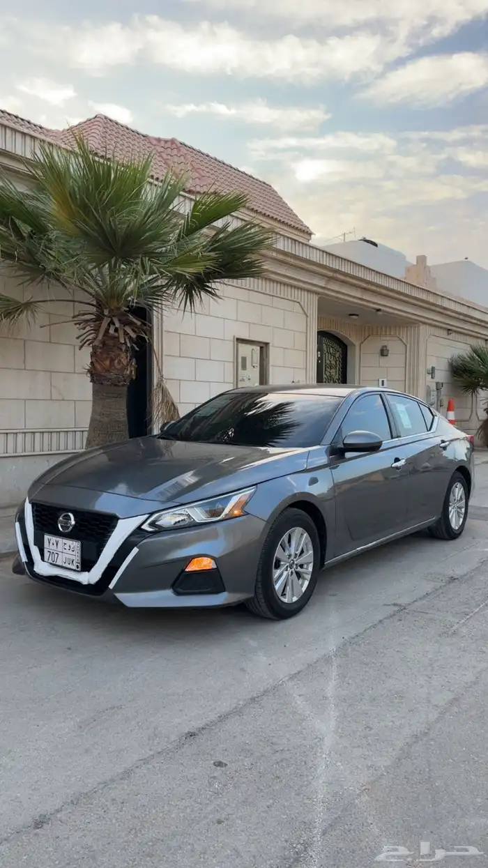 التيما 2021 ستاندر 31