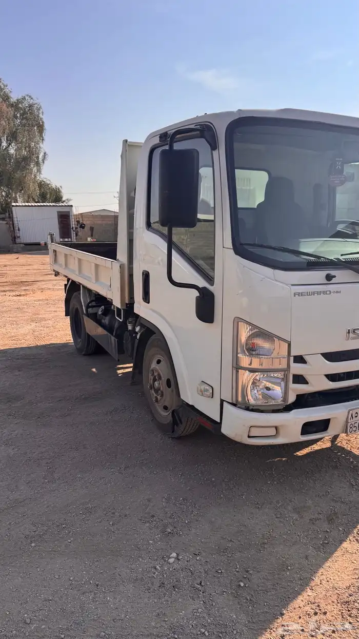 دينا قلاب ايسوزو 12