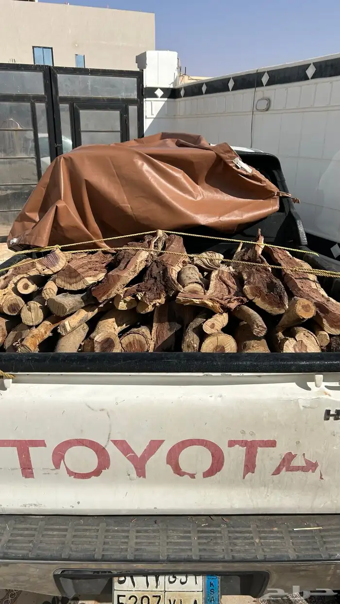 حطب مستورد 1