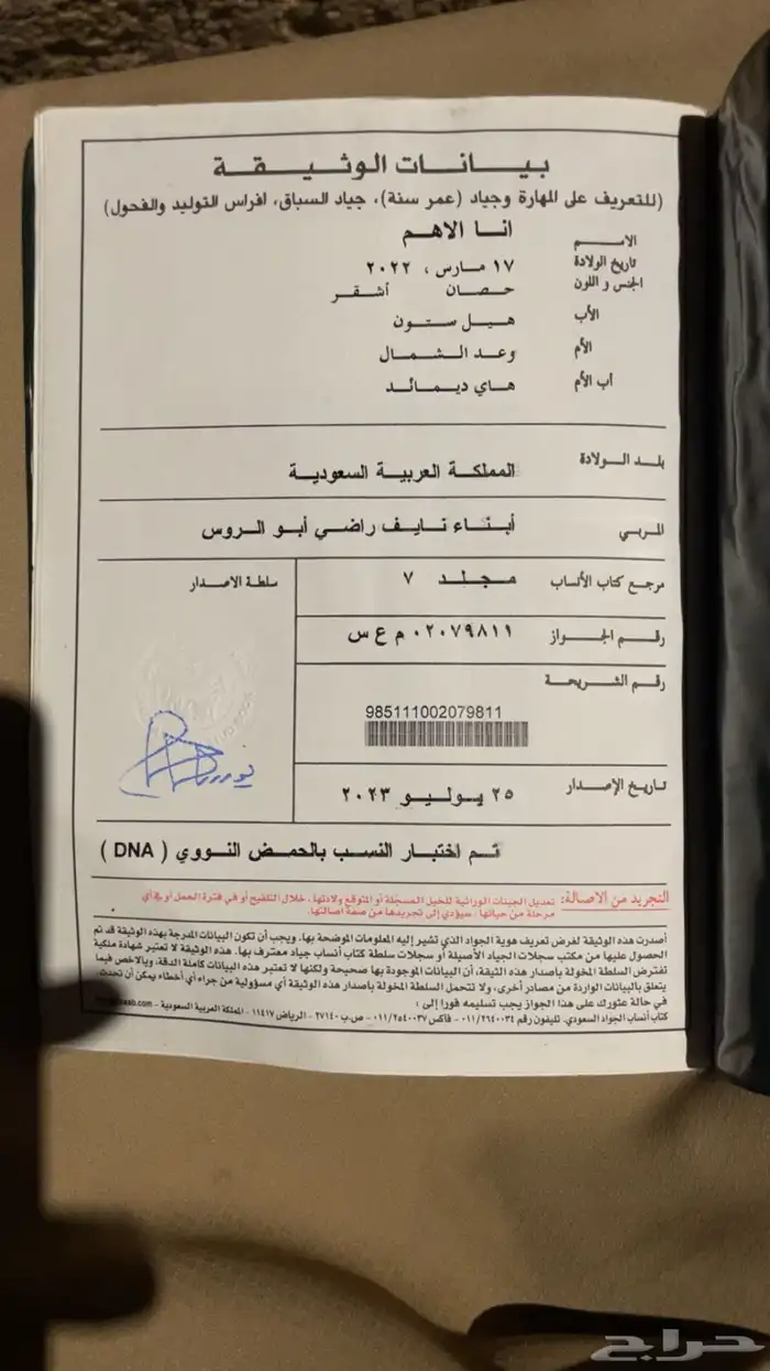 حصان انتاج ورق سبق مواليد 2022 4