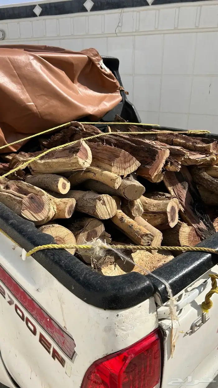 حطب مستورد 0