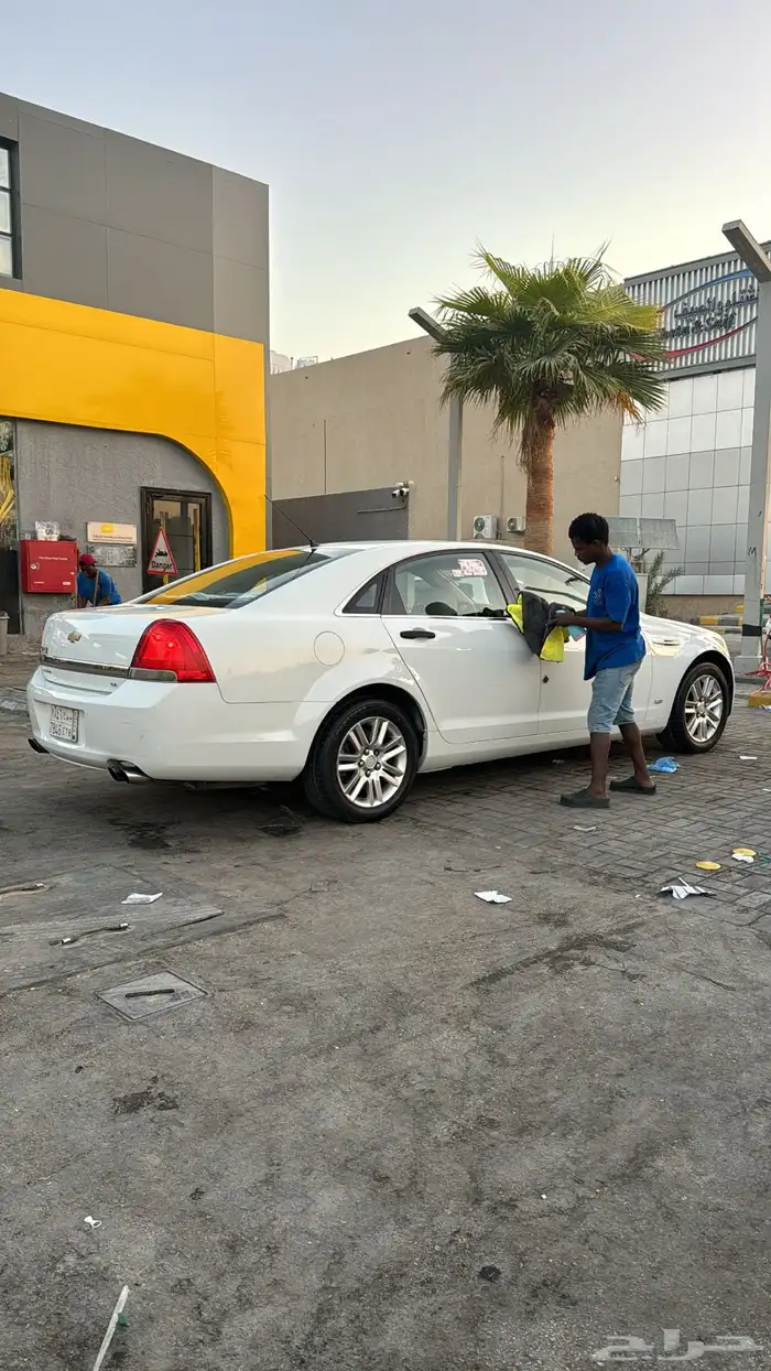 كابرس 2011 نظيف 2