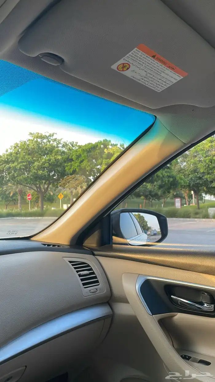 التيما 2017 17