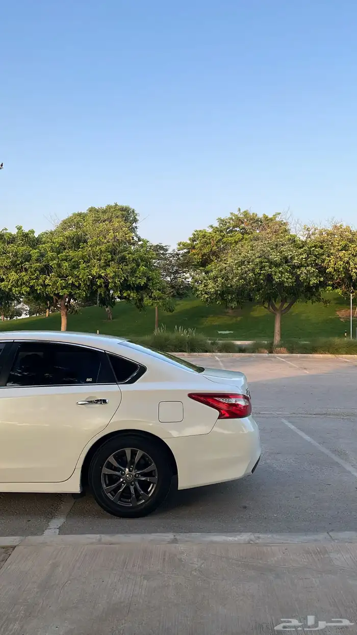 التيما 2017 14