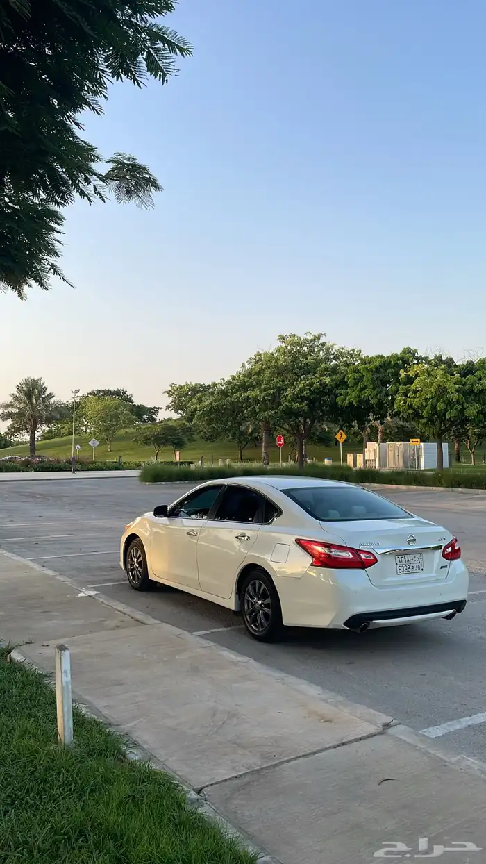 التيما 2017 13