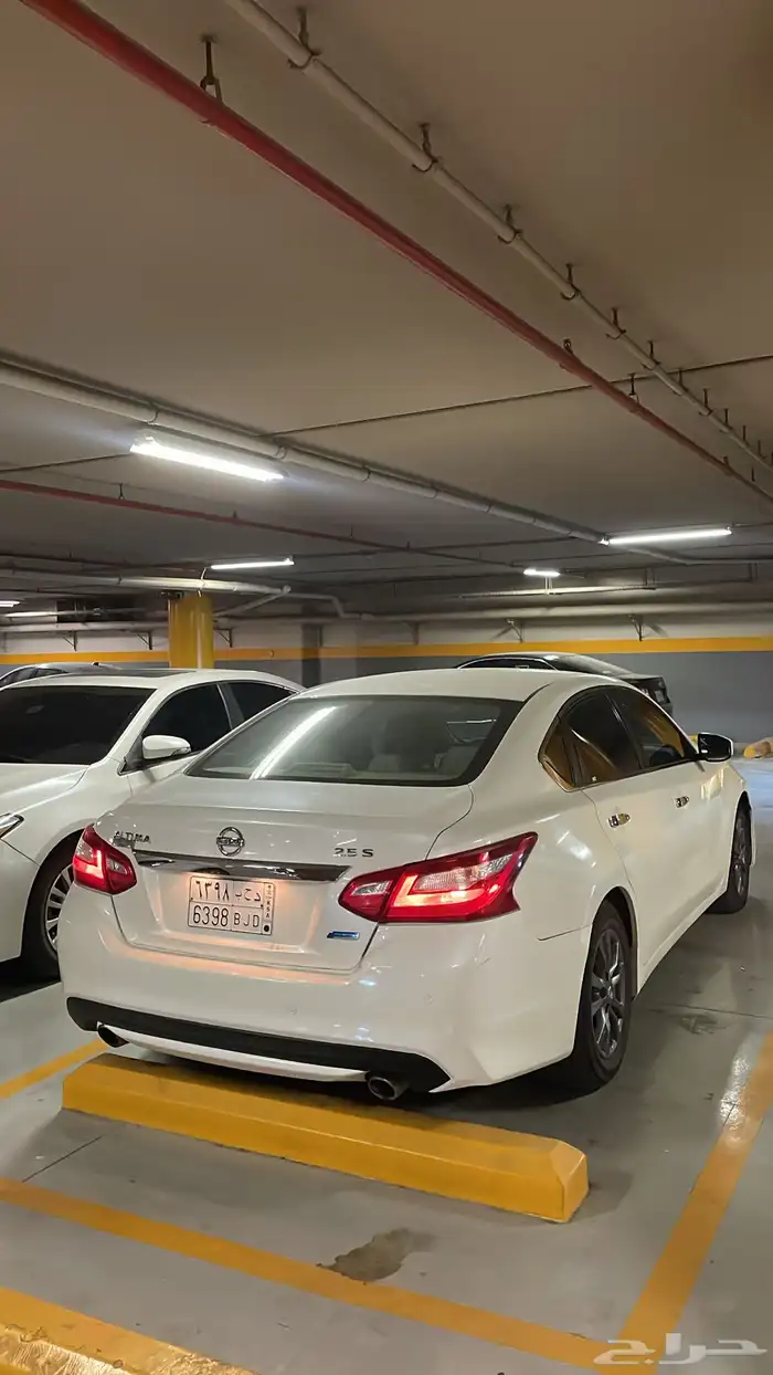 التيما 2017 10