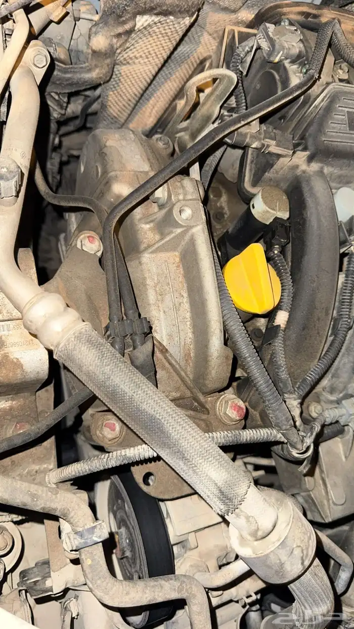 رينو سيمبول 2020 19