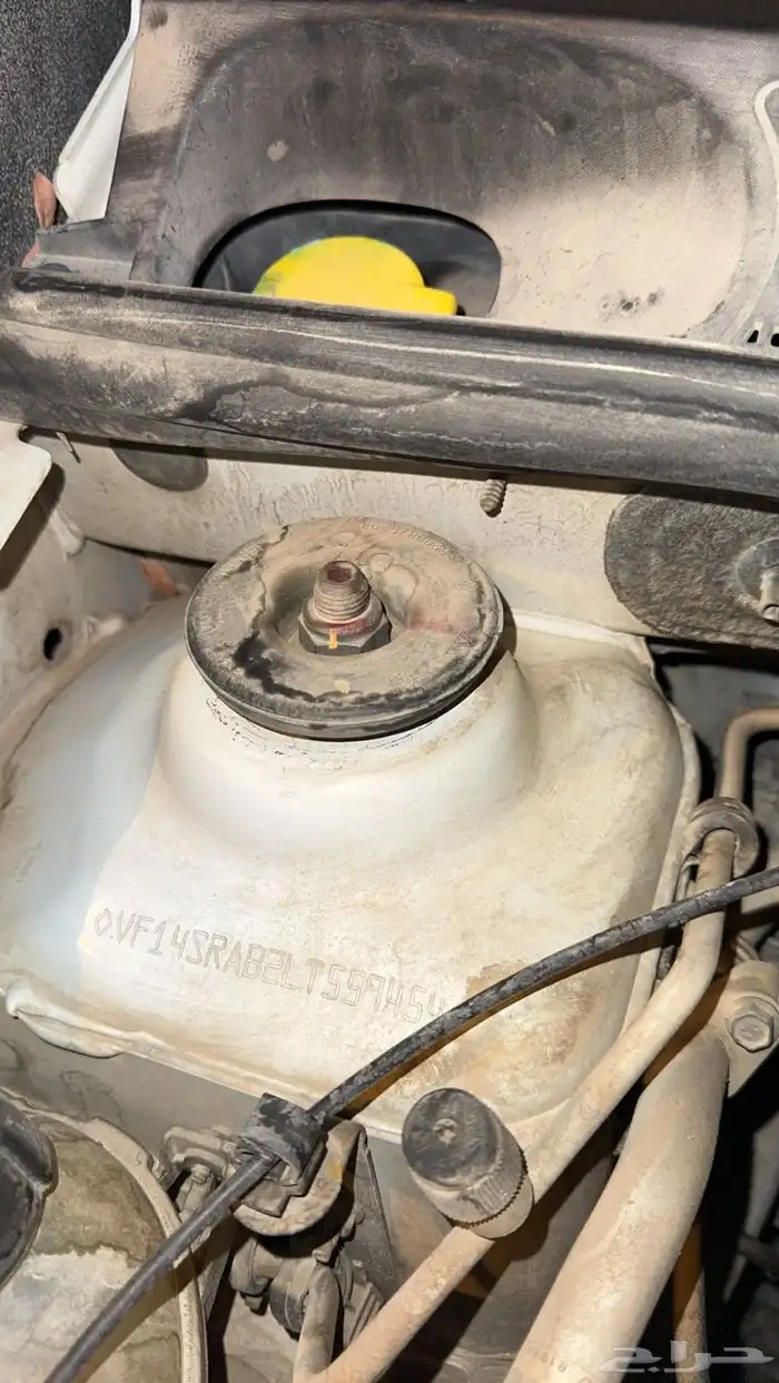 رينو سيمبول 2020 18