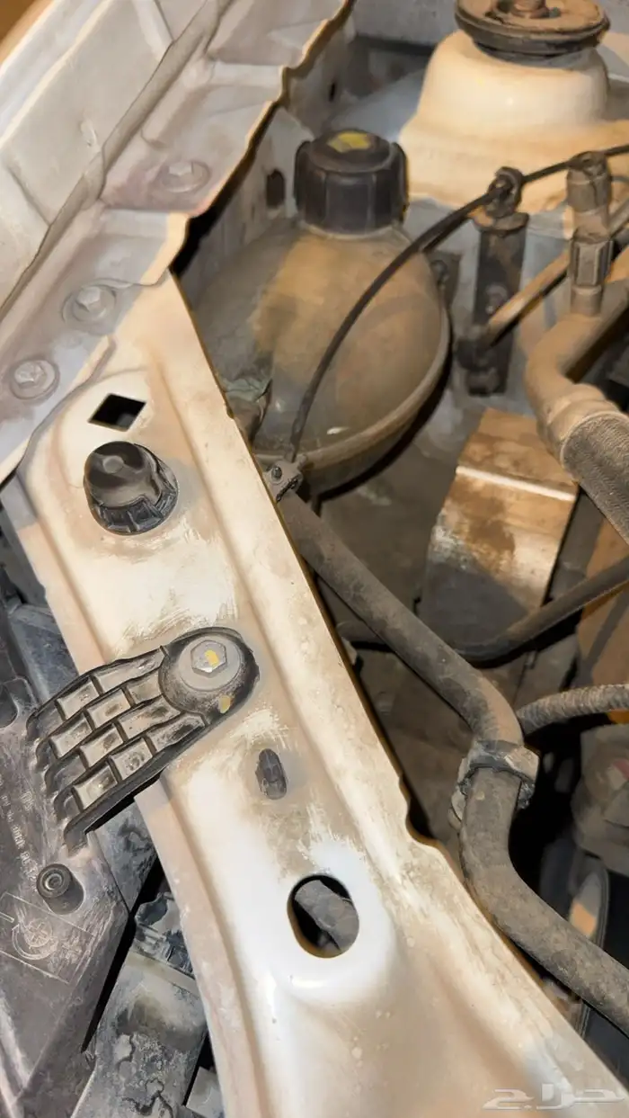 رينو سيمبول 2020 17